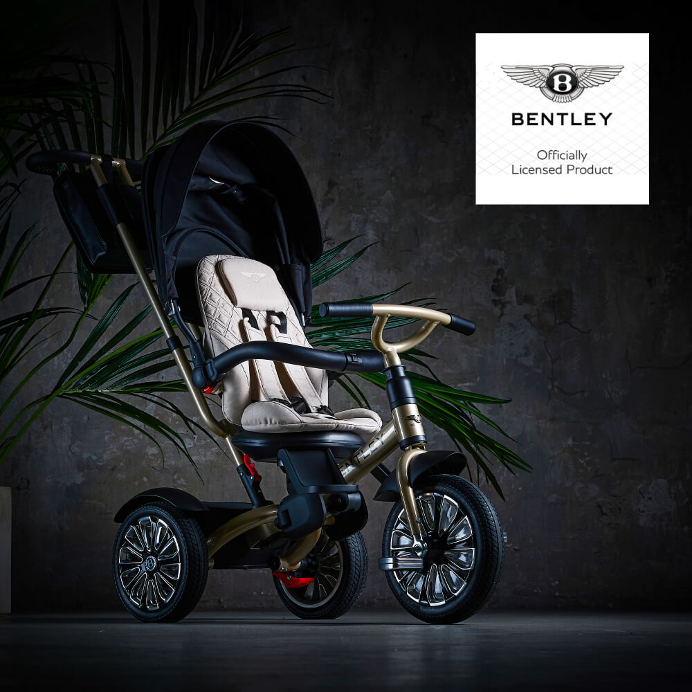 Bentley Mulliner 6-in-1 Baby Stroller - Gold