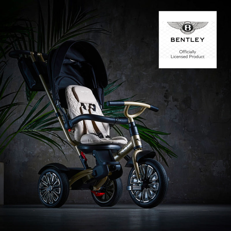 Mulliner 6-in-1 Baby Tricycle and Stroller - Gold
