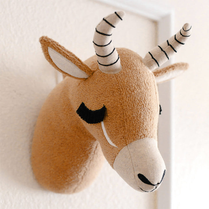 antelope
