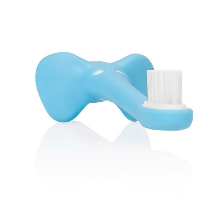 blue elephant