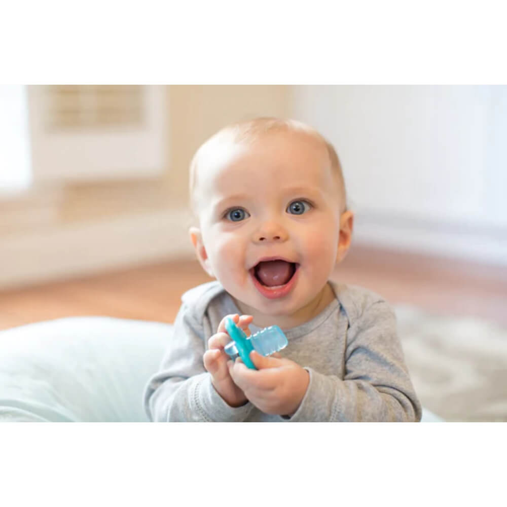 Dr. Brown's Prevent Printed Shield Stage 2 Soother - Pack of 2