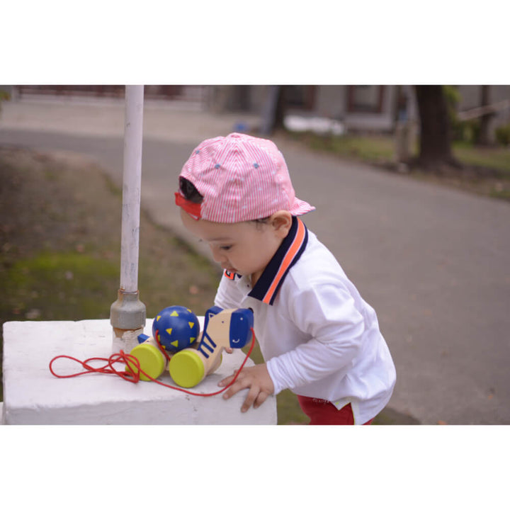 Zeebo Wooden Pull-Along Toy