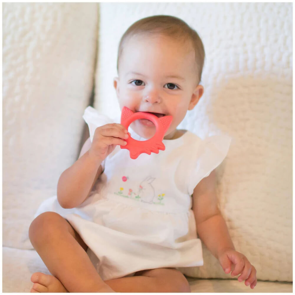 Dr. Brown's Flexees Friends Teether